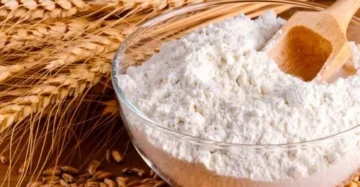 Wheat Flour/Maida